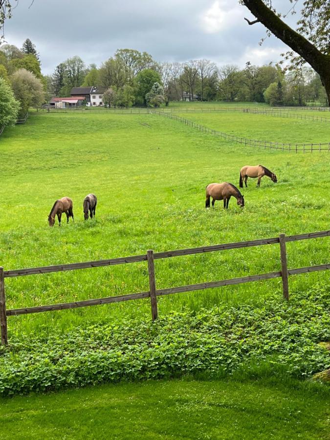 Herrenhaus - Starnberger See - Ammerland มึนซิง ภายนอก รูปภาพ