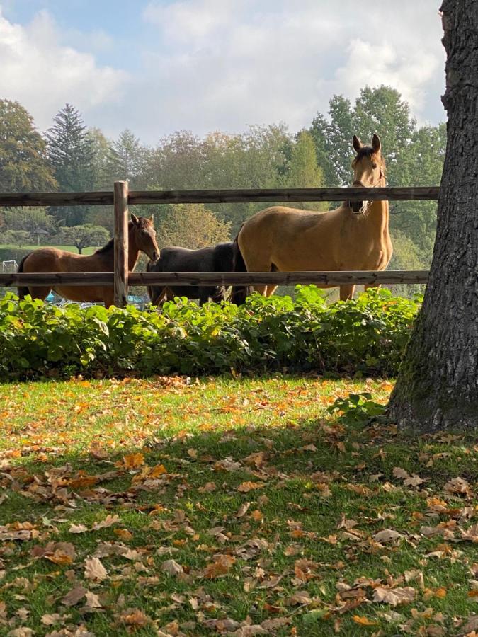 Herrenhaus - Starnberger See - Ammerland มึนซิง ภายนอก รูปภาพ