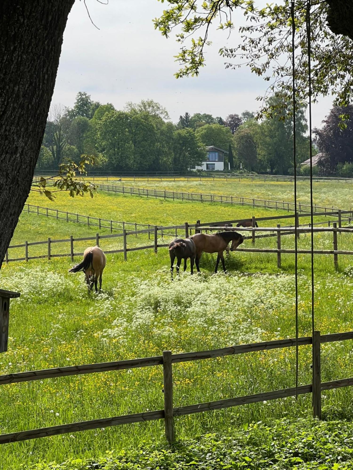 Herrenhaus - Starnberger See - Ammerland มึนซิง ภายนอก รูปภาพ