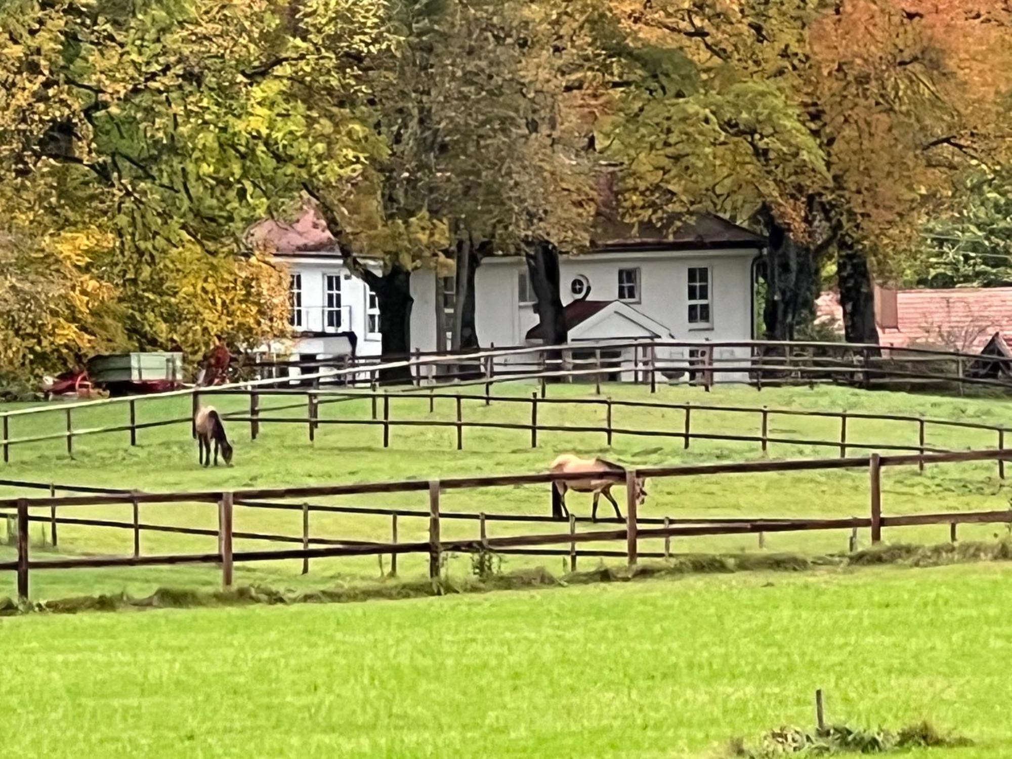 Herrenhaus - Starnberger See - Ammerland มึนซิง ภายนอก รูปภาพ