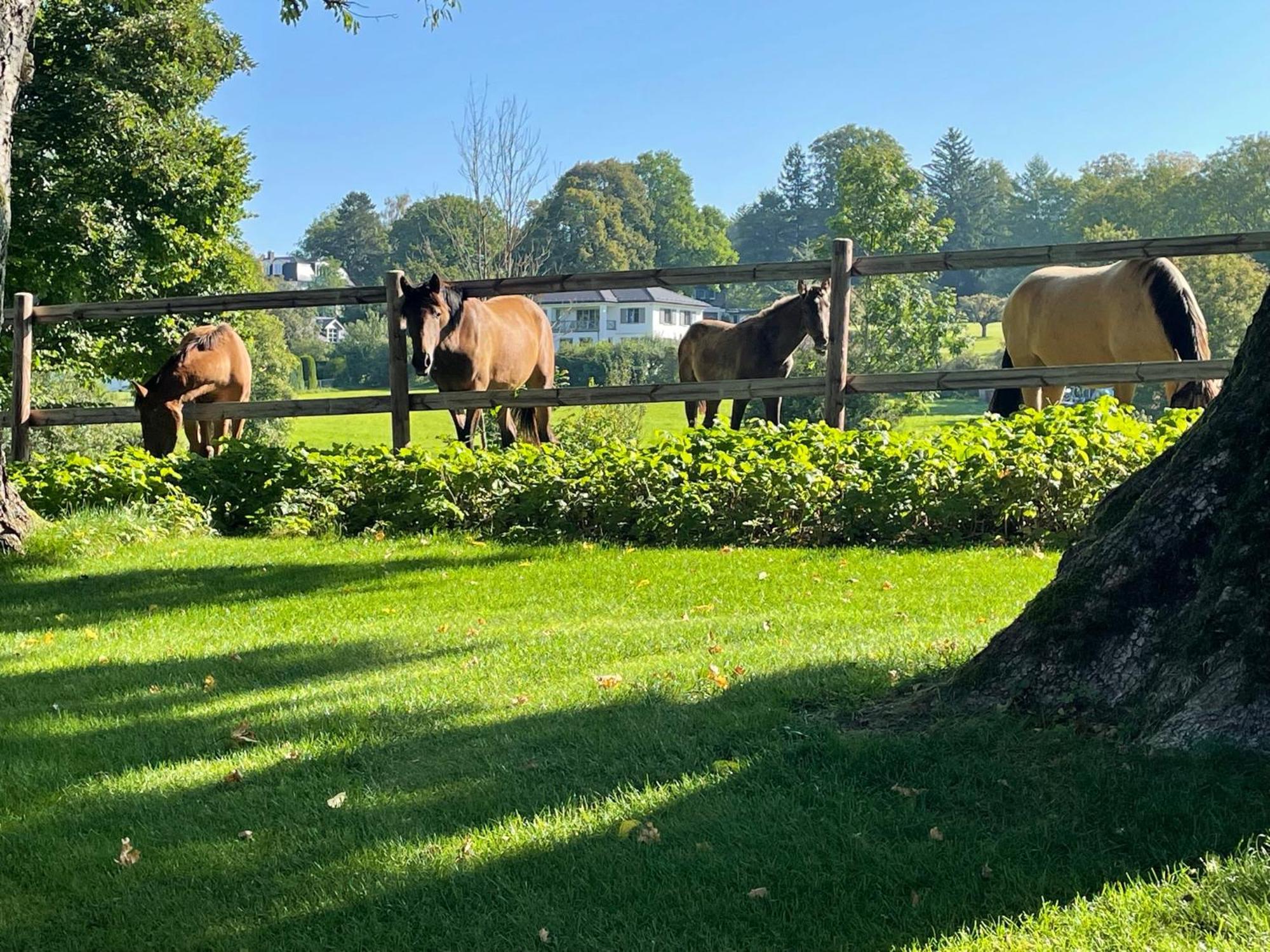 Herrenhaus - Starnberger See - Ammerland มึนซิง ภายนอก รูปภาพ